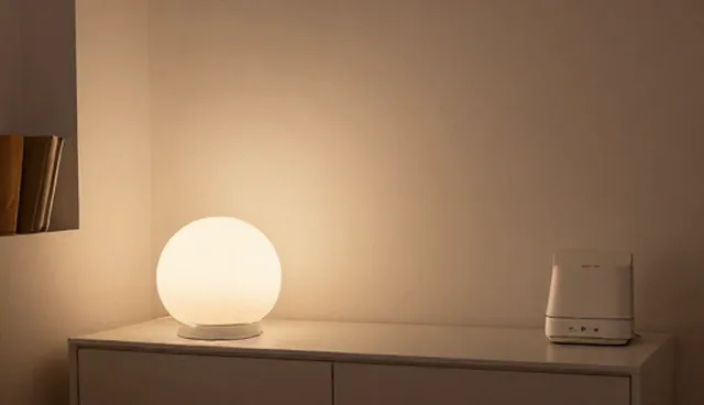 操作规范:商务服务项目咨询的关键作用分析