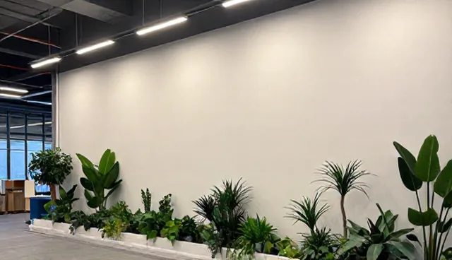 商务服务选型中的网络维护重点解析