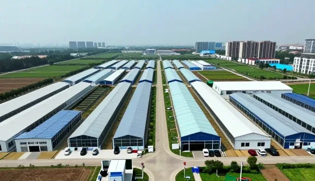 管理咨询在企业数字化转型中的实际应用路径